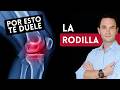 No es desgaste: tu rodilla está pidiendo auxilio por metales pesados