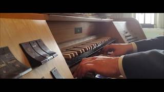 Stała Matka Boleściwa - organy - kościół Najświętszego Salwatora w Krakowie