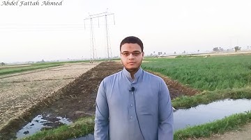 {ثلاثة يذهبن الحزن ،الخضرة والماء والوجه الحسن} من جمال الطبيعة تلاوة آخر سورة يس