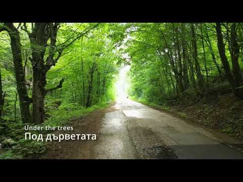 Под дърветата - Under the trees   in and out of the village road