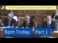 Protocol on Ireland/Northern Ireland Sub-Committee