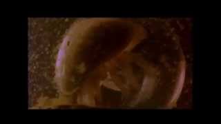 Soriah With Ashkelon Sain - Eztica