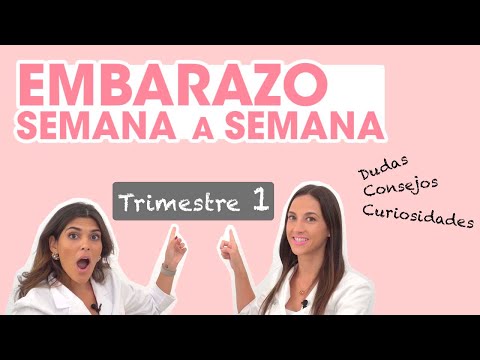 Vídeo: Embarazo: Signos, Síntomas, Descripción General Y Consejos De Salud Que Debe Conocer