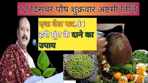 12 दिसंबर पौष शुक्रवार अष्टमी तिथि, एक बेल पत्र और 31 हरी मूंग दाने का उपाय 🙏😍#प्रदीप मिश्रा ❤️🙏