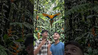 my new youtube videos 🤣