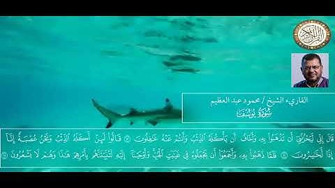 ما تيسر من سورة يوسف للشيخ القاريء محمود عبد العظيم