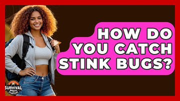 How Do You Catch Stink Bugs? - Survival Skills for Everyone