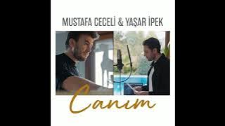 Mustafa Ceceli & Yaşar İpek - Canım #mustafaceceli #mustafacecelihaberleri #yaşaripek