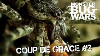 MONSTER BUG WARS | Coup De Grace Collection #2