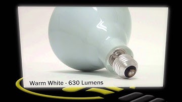 Philips BR40 Reflector Flood