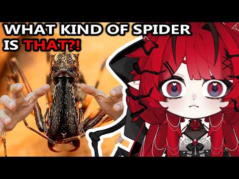 SPIDER VTUBER reacts to Australian SPIDERS | Reacting to MoreParz FIRST TIME