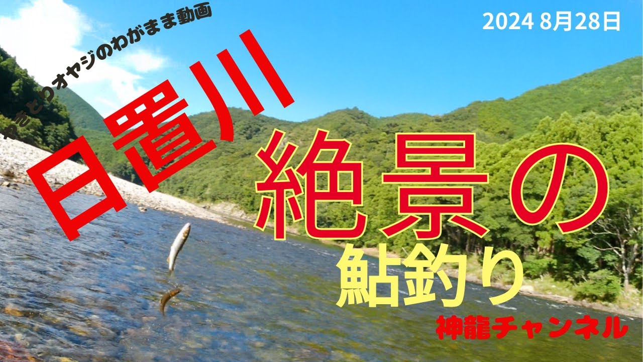 8月28日絶景の日置川 で鮎を釣る