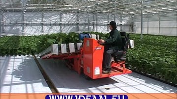 IDEAAL - Bock re-spacing machine