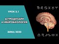 #Астродизайн и Нейробиология. Предназначение, потребности, модель развития. Урок 3.1