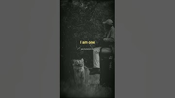 sigma rule🦁🔥~attitude status #lion#motivation#youtube#shorts #shortsfeed#whatsapp#viral#trending