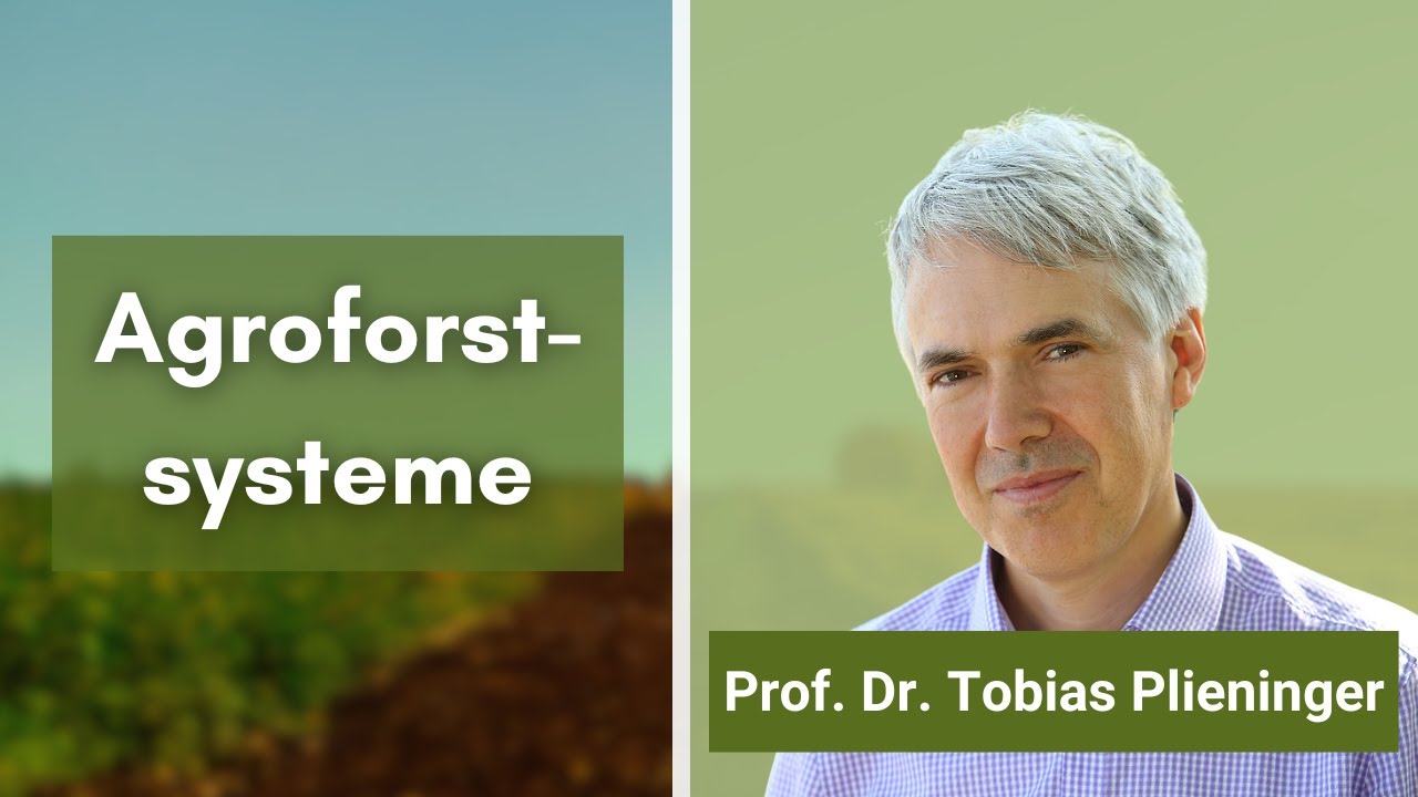 Agroforstsysteme – Renaissance einer Kulturlandschaft?