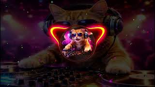 Download Lagu DJ KAMIN GAGAL SAD KANE YANG KALIAN CARI VIRAL TIKTOK MENGKANE TERBARU MP3