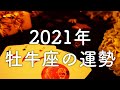 【2021年の運勢】牡牛座のあなたに起こること🌟怖いほど当たる😳💭💭恋愛・仕事・人間関係🌟タロット占い&オラクルカードリーディング🔮
