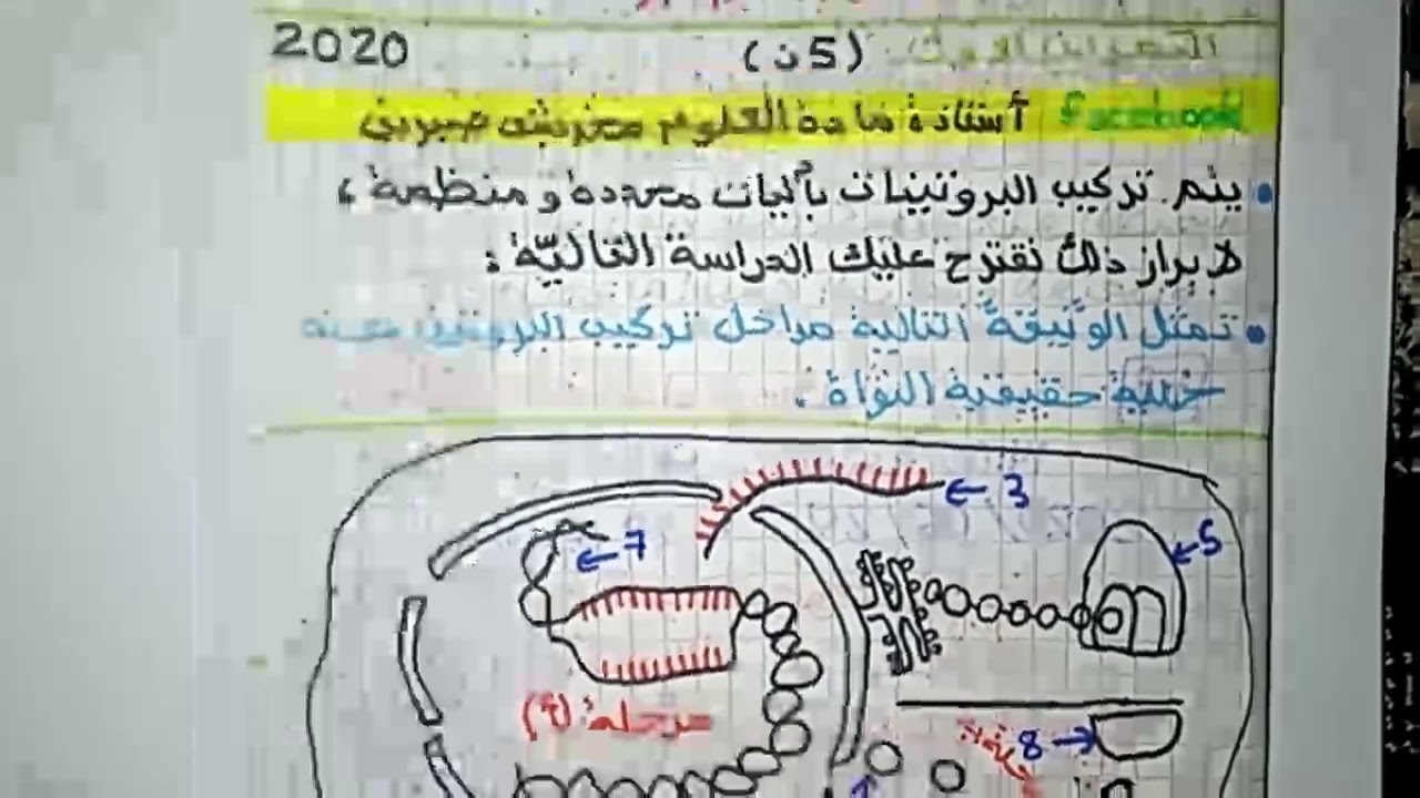 سلسلة تمارين حول وحدة تركيب البروتين :تمرين 01 موضوع 01 شعبة علوم باك 2017