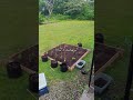 Garden Progress: Year 1 vs Year 2! #garden #gardening #shorts #flipaclip