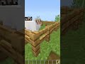 Busting crazy myths to find its truth minecraft shorts