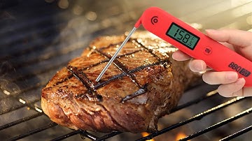 Review of the INKBIRD BG HH1C Thermometer