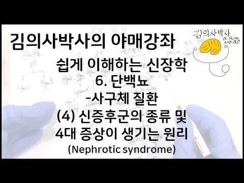쉽게 이해하는 신장학- 6.단백뇨-사구체 질환 (4) 신증후군(Nephrotic syndrome)의 종류 및 4대 증상이 생기는 원리 [김의사박사의 야매강좌]