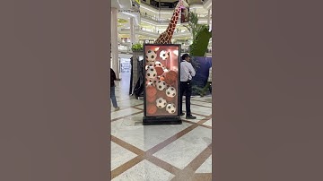 CGI in the Mall: Basketball & Football Animation | Blender Fun Project