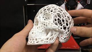 3D Printed Voronoi Skull Time-Lapse