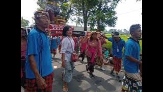 Download lagu Ogoh Ogoh gondoroso ngaringan