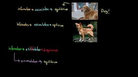 Schemas, assimilation, and accommodation