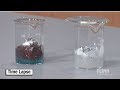 Building Inquiry Skills Through Early Laboratory Experiences