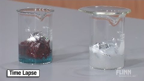 Building Student Inquiry Skills