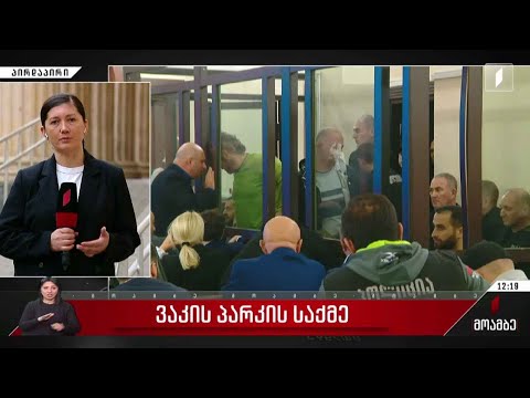 ვაკის პარკის საქმის არსებითი განხილვა იწყება