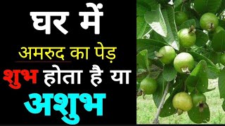 अमरुद का पेड़ घर में लगाना शुभ या अशुभ? Know Planting Guava Tree is good or not? screenshot 4