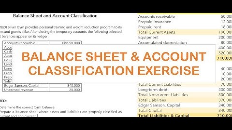 Balance Sheet & Account Classification Exercise