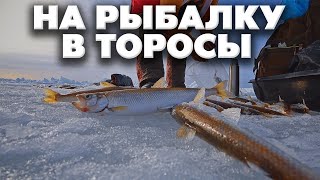 На рыбалку в торосы за корюшкой и навагой, Сахалинская рыбалка