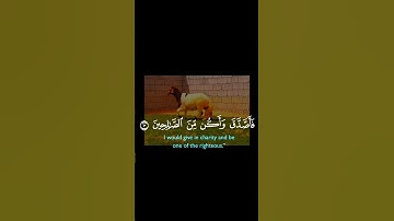 #اكسبلور #تلاوه_خاشعه #تيك_توك #المصحف #duet #القران_الكريم #ترند #دويتو #لايك