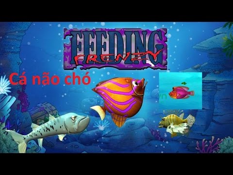 Chơi Lại Tựa Game Huyền Thoại: Cá Lớn Nuốt Cá Bé(Feeding Frenzy ) - Youtube