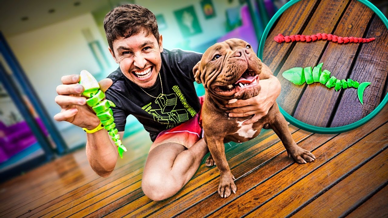 FIZ NA IMPRESSORA 3D BRINQUEDOS PROS CACHORROS DA CASA