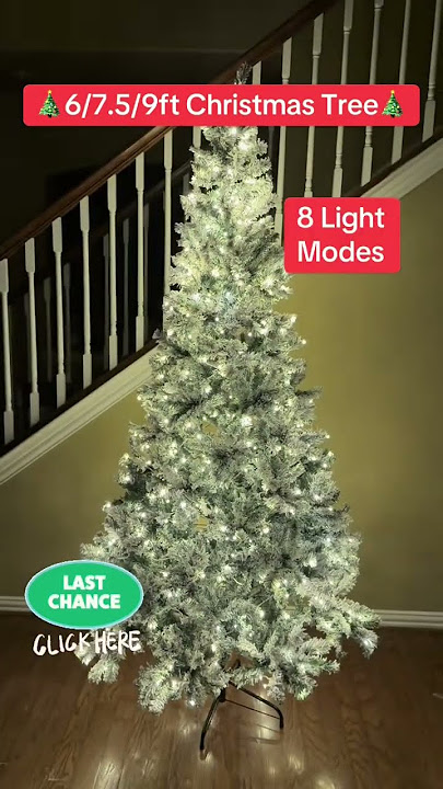 Last Chance: 6, 7.5, or 9ft Christmas Trees! #christmastree #christmasdecor