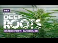 Millennial Owned Cannabis Farm in Oregon Grows Over 3 Pounds per Light!