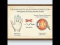 Vasospasm, Cold Hands, and Normal-Tension Glaucoma: The Raynaud’s Connection