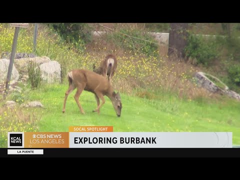 SoCal Spotlight: Exploring Burbank