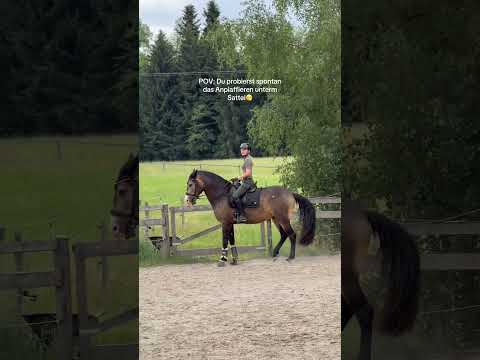Ich bin ab jetzt öfter mal spontan!😮‍💨 #equestrianjourney