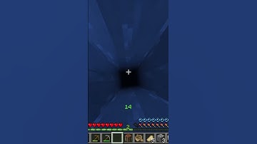 Minecraft But Biomes Give Random Effects