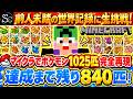 【Minecraft】マイクラでポケモン１０２５匹完全再現！～前人未踏の世界記録まで残り840匹～【匠帽子の整地日記/244回目】