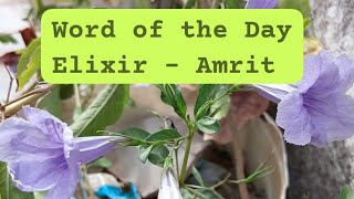 Elixir Word of the Day Enrich your Vocabulary figurative language Learn English joyfully with Nature