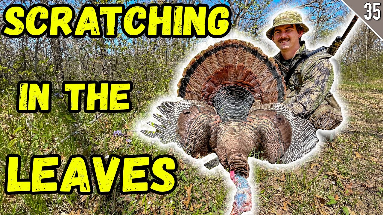 MOST EFFECTIVE CALL for STUBBORN TURKEYS?? (Public Land Gobbler) YouTube