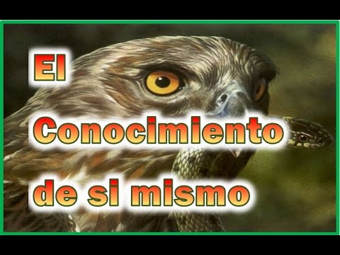 El conocimiento de si mismo 01 - YouTube
